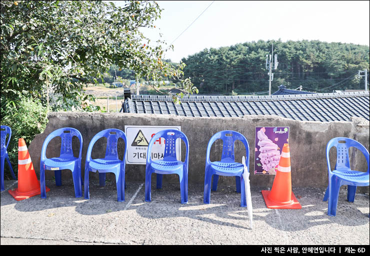 국내 여행 고성 백촌막국수 메밀국수와 편육 웨이팅 없이!