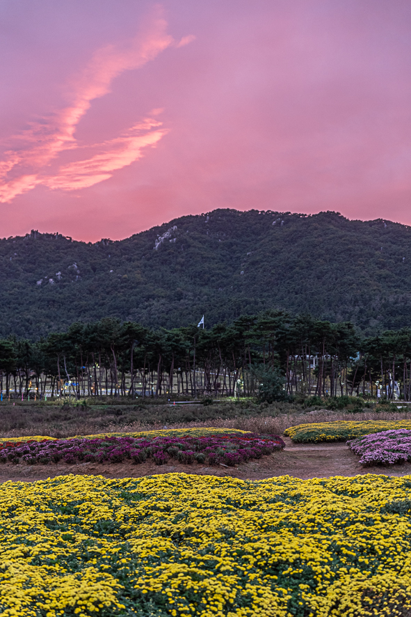 10월 충남 여행 가볼만한곳 가을 코로나 놀거리 2021 문화의달 홍예공원