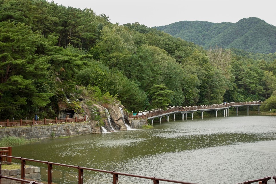 충북 제천 가볼만한곳 의림지  용추폭포 유리전망대 비오는날에도 굿