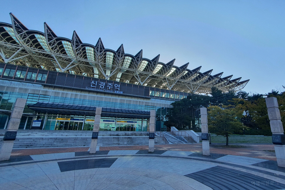 경북 여행 가볼만한곳 경주 핑크뮬리 첨성대에서 가을 꽃 구경