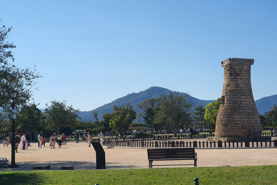 경북 여행 가볼만한곳 경주 핑크뮬리 첨성대에서 가을 꽃 구경