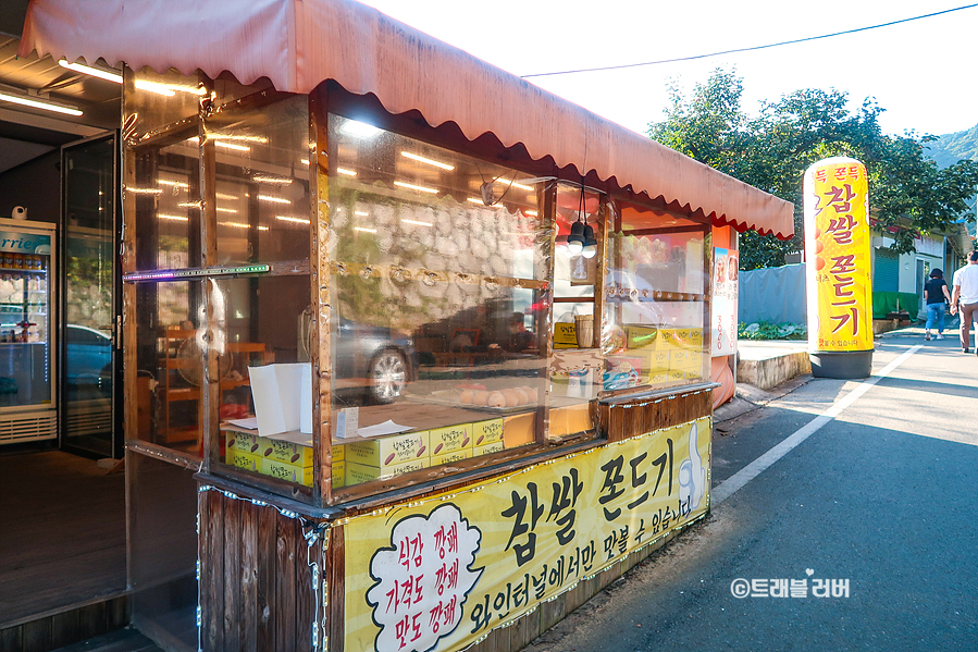 가을 국내여행 경북 가볼만한곳 청도 와인터널 볼거리