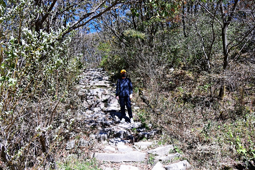 지리산 등산코스 성삼재 휴게소에서 노고단대피소 거쳐 정상까지