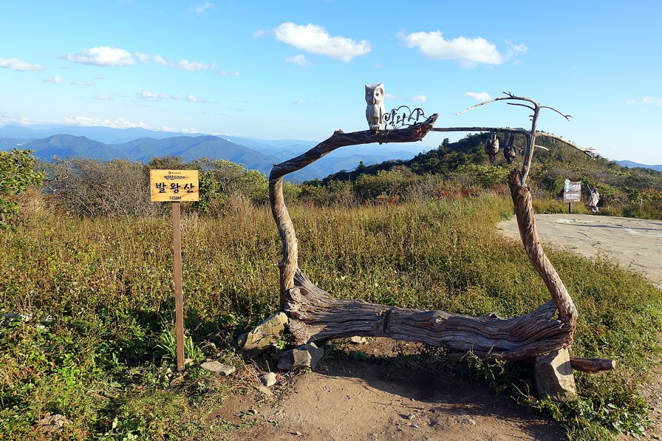 용평리조트 강원도 평창 숙소 추천