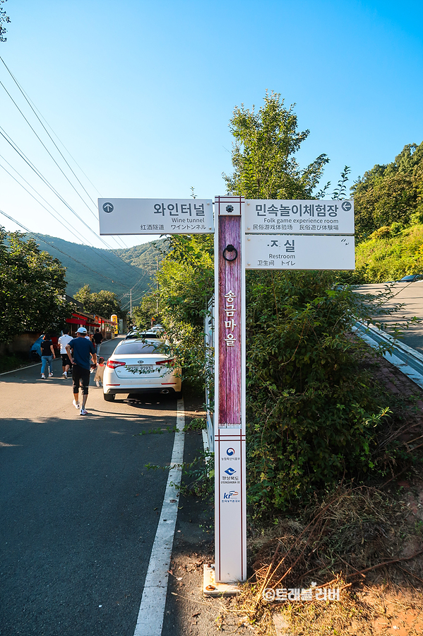 가을 국내여행 경북 가볼만한곳 청도 와인터널 볼거리