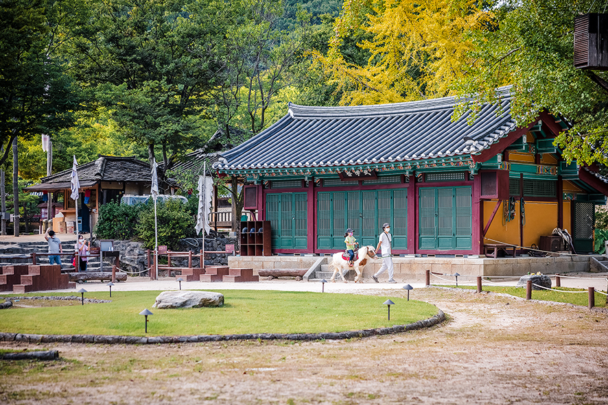 경기도 가볼만한곳 용인 여행 필수코스 한국민속촌 꿀팁 총정리