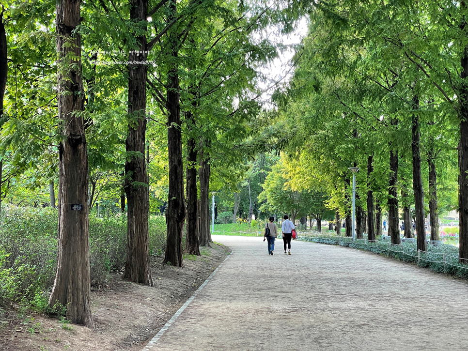 서울 주말 나들이 성수동 서울숲 가을에 가볼만한곳