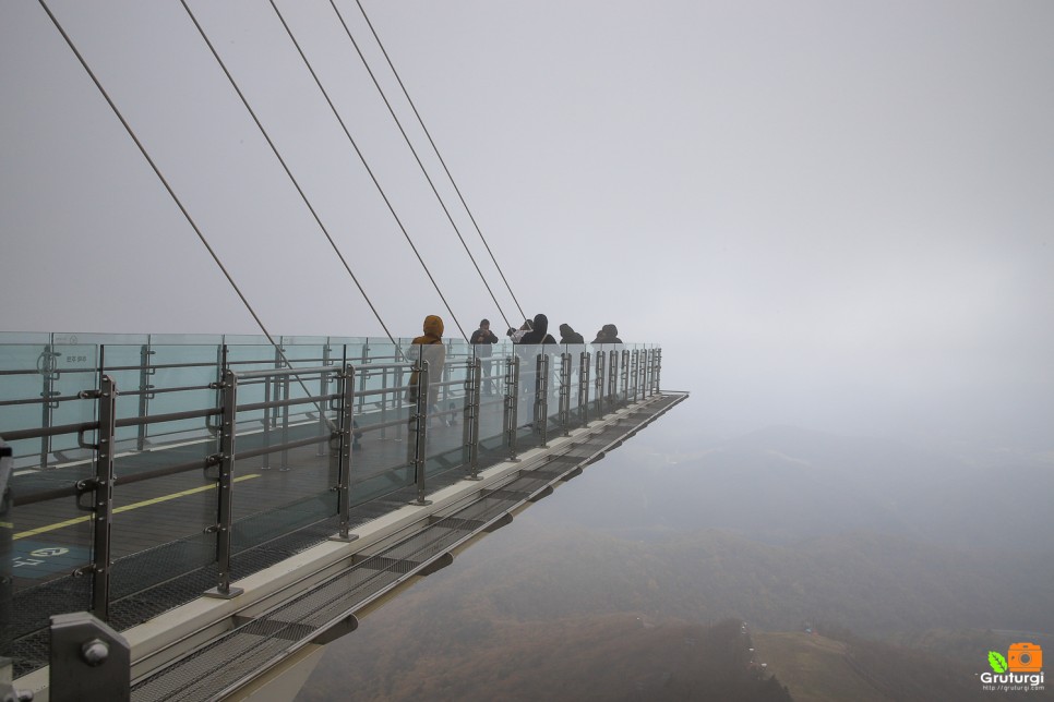 평창 용평리조트 발왕산 케이블카 스카이워크 단풍 구경