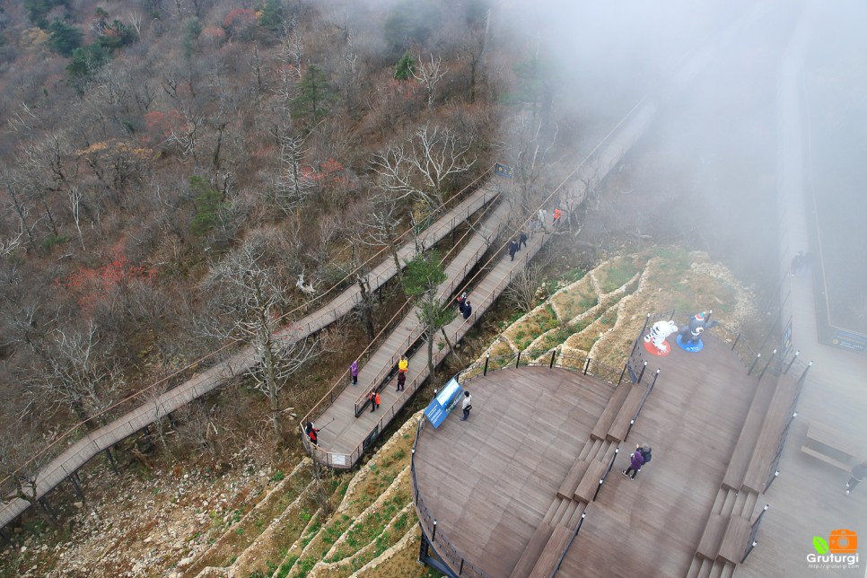 평창 용평리조트 발왕산 케이블카 스카이워크 단풍 구경