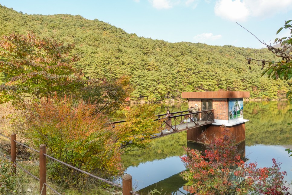 충북 여행 보은가볼만한곳,  속리산 국립공원  법주사 세조길 단풍여행 정이품송