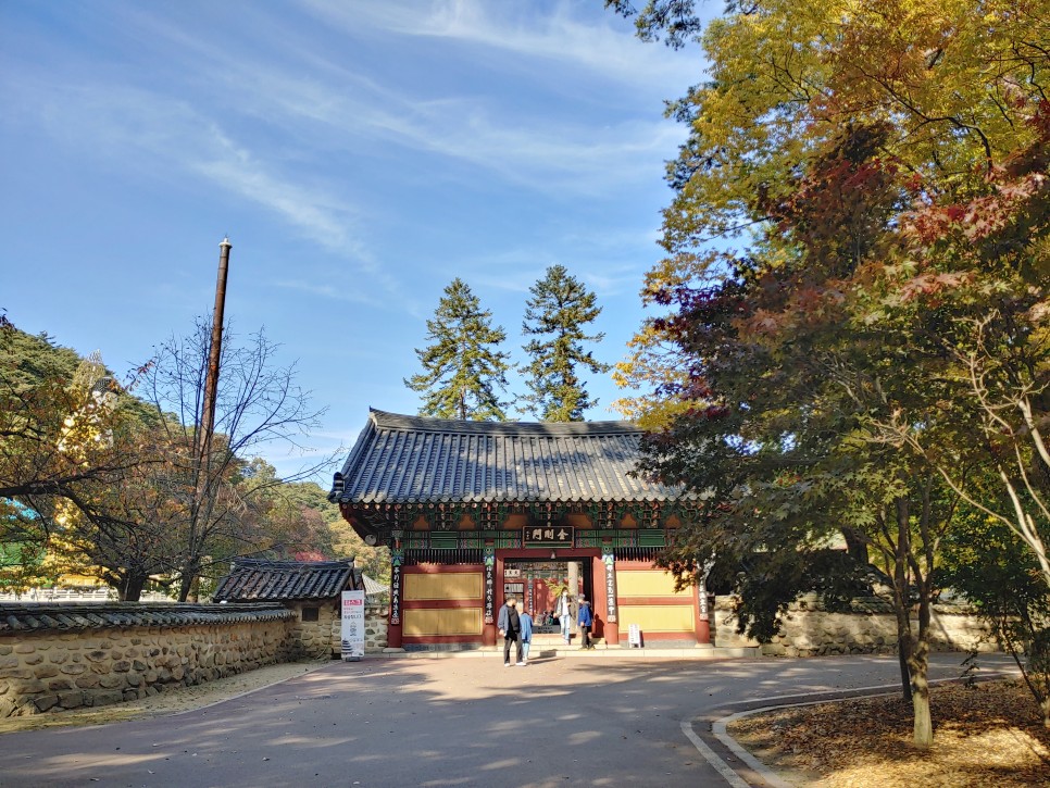 충북 여행 보은가볼만한곳,  속리산 국립공원  법주사 세조길 단풍여행 정이품송