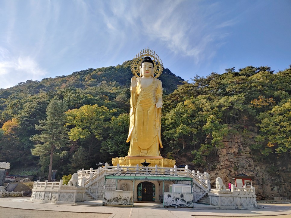 충북 여행 보은가볼만한곳,  속리산 국립공원  법주사 세조길 단풍여행 정이품송