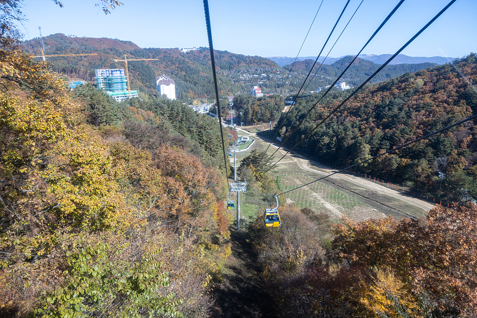 강원도 여행 단풍 구경  평창 발왕산 케이블카 스카이워크