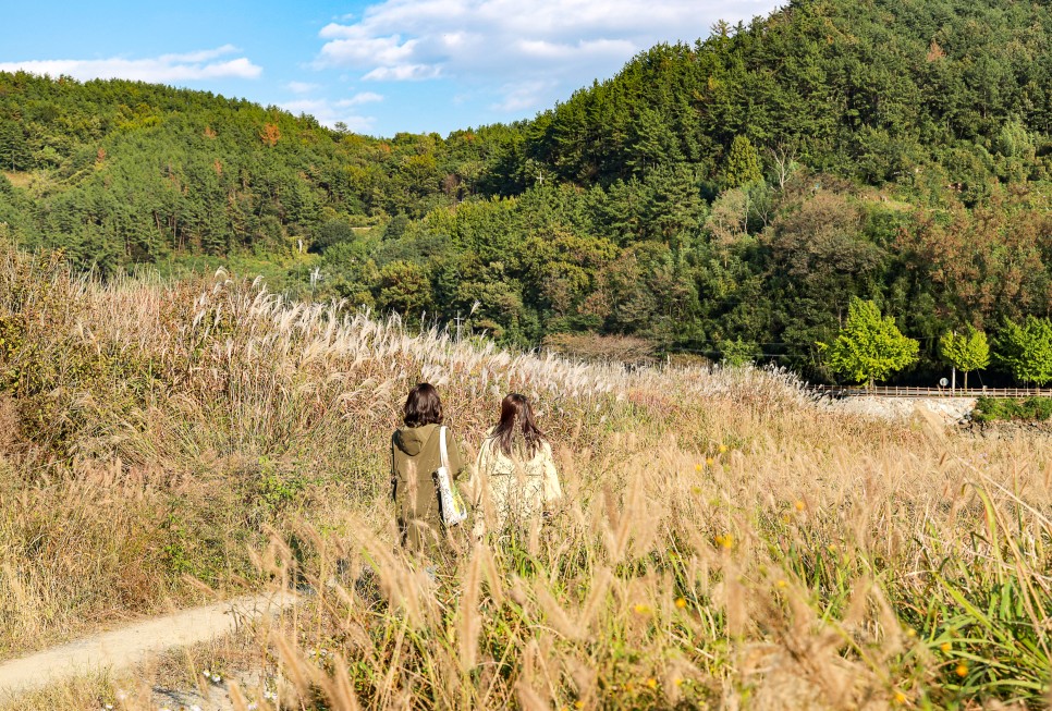 광양가볼만한곳 배알도 해변공원 남파랑길 섬진강 자전거길 끝들마을 전남여행지