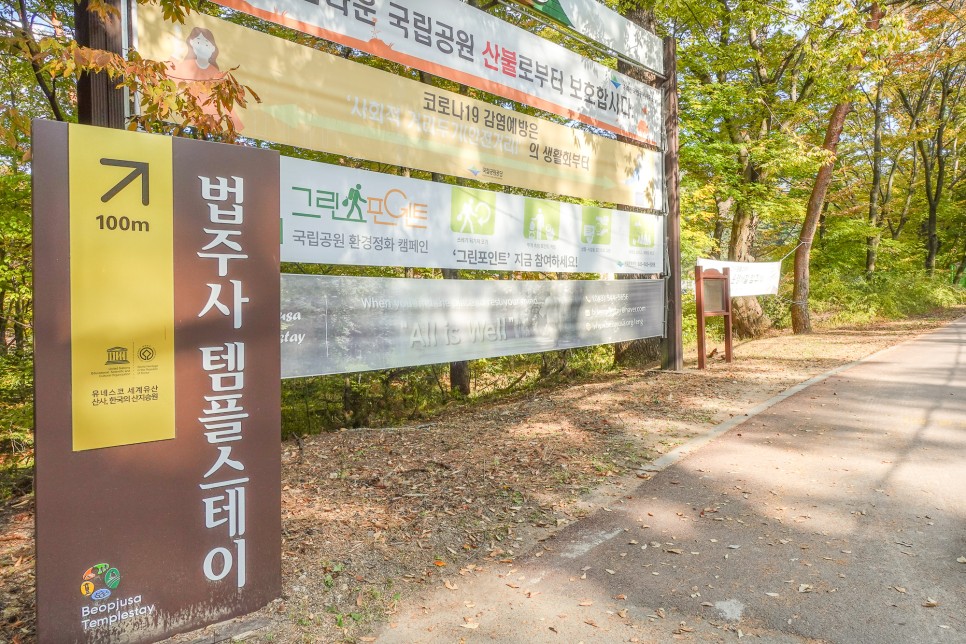충북 여행 보은가볼만한곳,  속리산 국립공원  법주사 세조길 단풍여행 정이품송