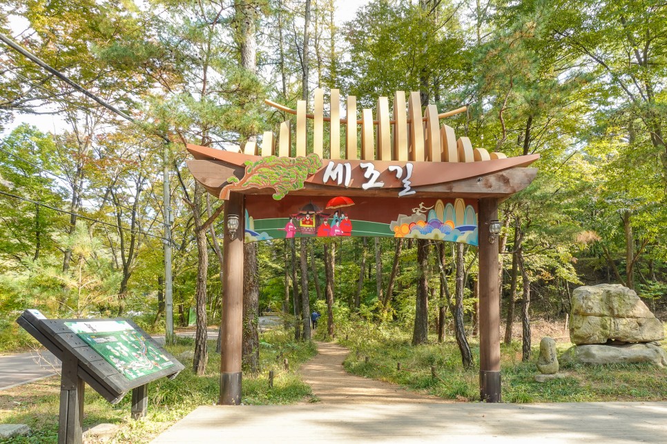 충북 여행 보은가볼만한곳,  속리산 국립공원  법주사 세조길 단풍여행 정이품송