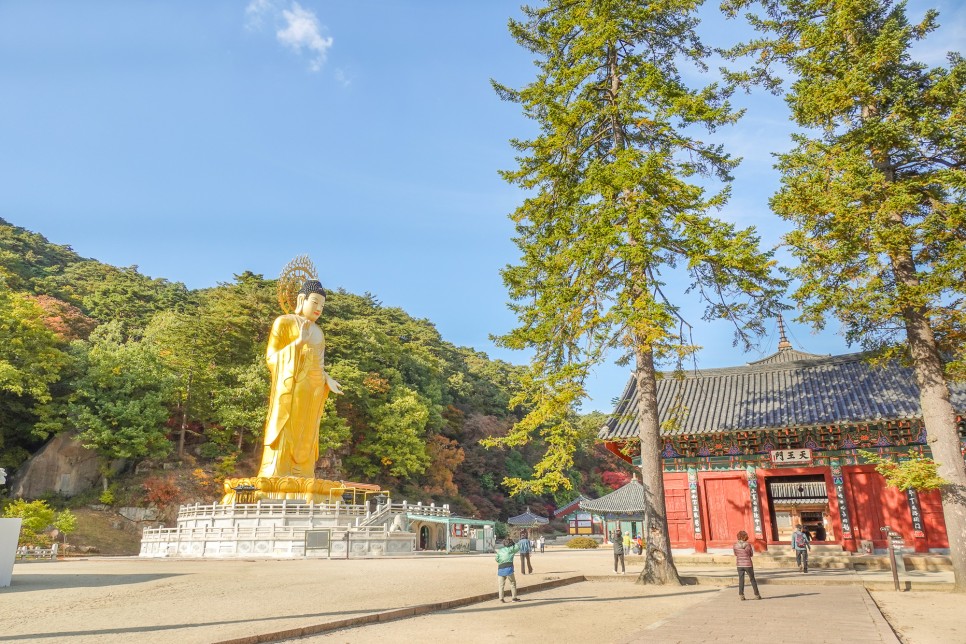 충북 여행 보은가볼만한곳,  속리산 국립공원  법주사 세조길 단풍여행 정이품송