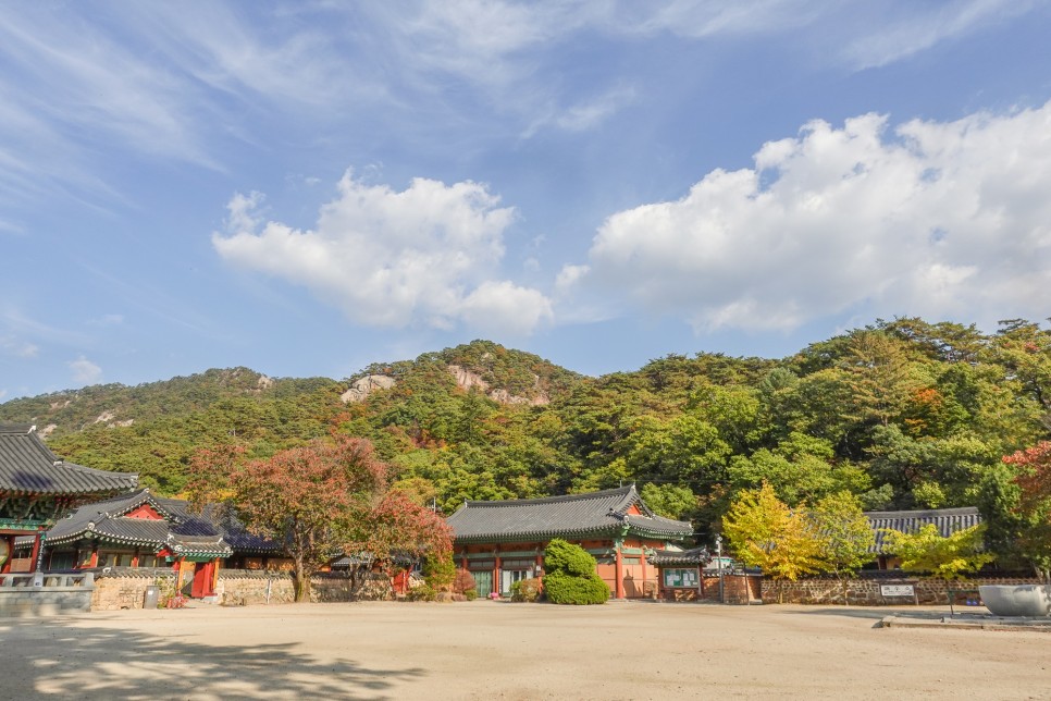 충북 여행 보은가볼만한곳,  속리산 국립공원  법주사 세조길 단풍여행 정이품송