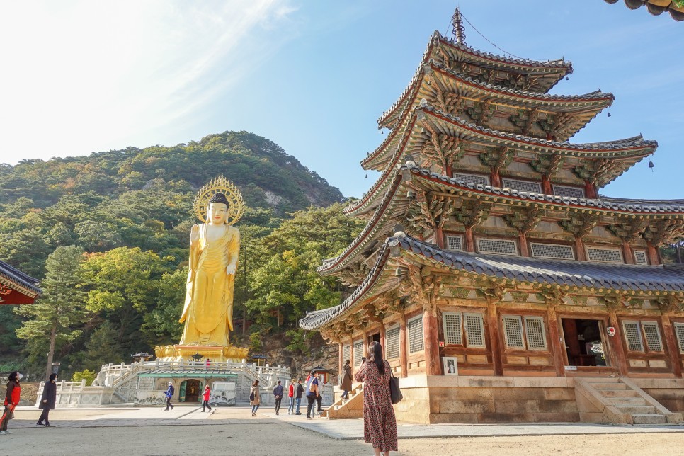 충북 여행 보은가볼만한곳,  속리산 국립공원  법주사 세조길 단풍여행 정이품송