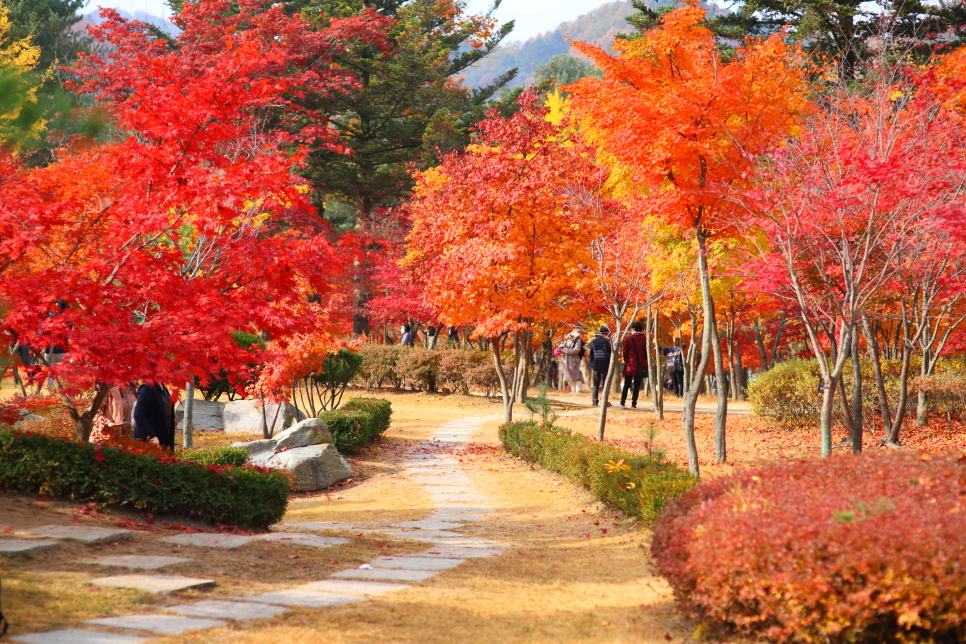 가평 가볼만한곳 남이섬 아침고요수목원 외 베스트