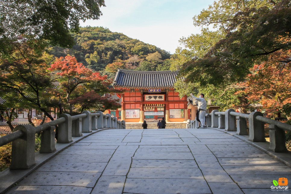 가을 단풍명소 고창 선운사 선운산도립공원 전북 여행지 추천