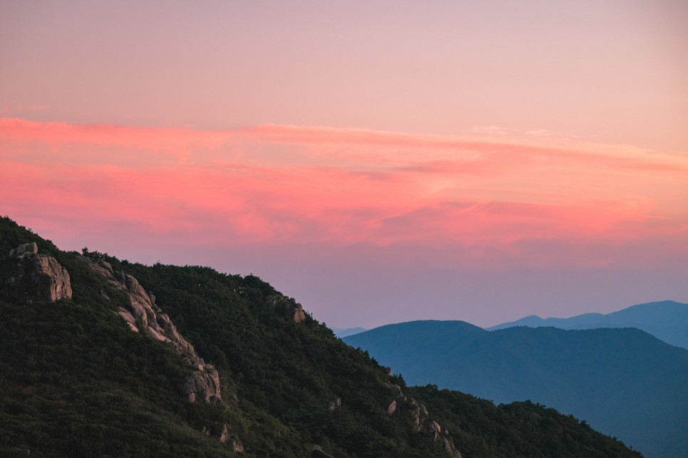 은빛 가을이 찾아온 합천 :: 별빛농장, 해인사, 황매산, 커피체험마을, 화랑레포츠, 합천패러글라이딩파크, 정원테마파크, 합천영상테마파크, 합천 가볼만한곳