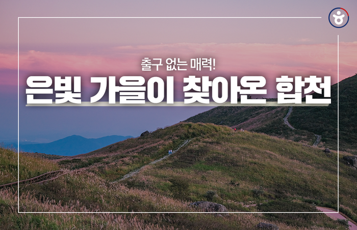 은빛 가을이 찾아온 합천 :: 별빛농장, 해인사, 황매산, 커피체험마을, 화랑레포츠, 합천패러글라이딩파크, 정원테마파크, 합천영상테마파크, 합천 가볼만한곳