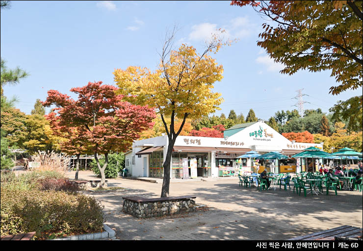 인천 여행지 인천대공원 단풍 자전거 돗자리 텐트 주차장 주차
