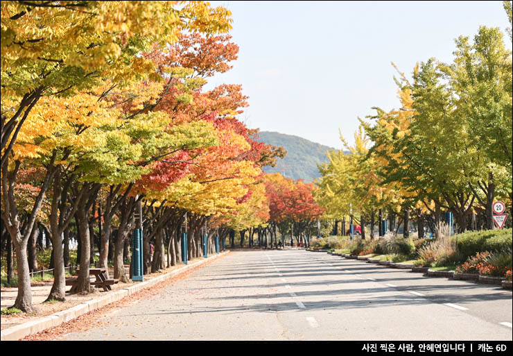 인천 여행지 인천대공원 단풍 자전거 돗자리 텐트 주차장 주차