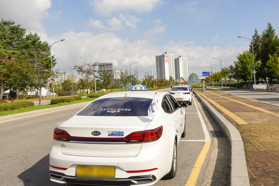 파주 가볼만한곳 '파주 여행택시투어' 오두산통일전망대 지혜의숲 임진각 관광지 편하게 (feat 대한민국 테마여행 10선)