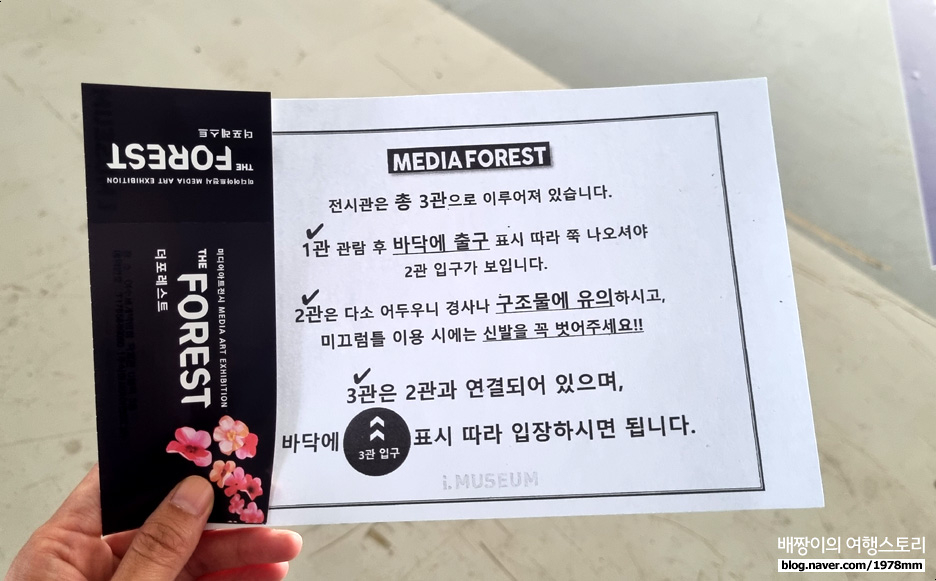 몰입 최고! 여수 아이뮤지엄 포레스트 실내데이트 +할인 팁 - 아이와가볼만한곳 추천