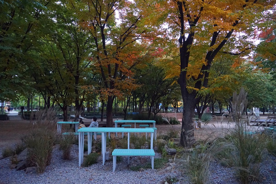 72시간 프로젝트 서울숲 서울 공원 산책