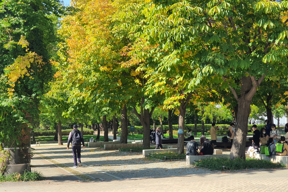 72시간 프로젝트 뚝섬 서울숲에서 볼 수 있는 다양한 작품들