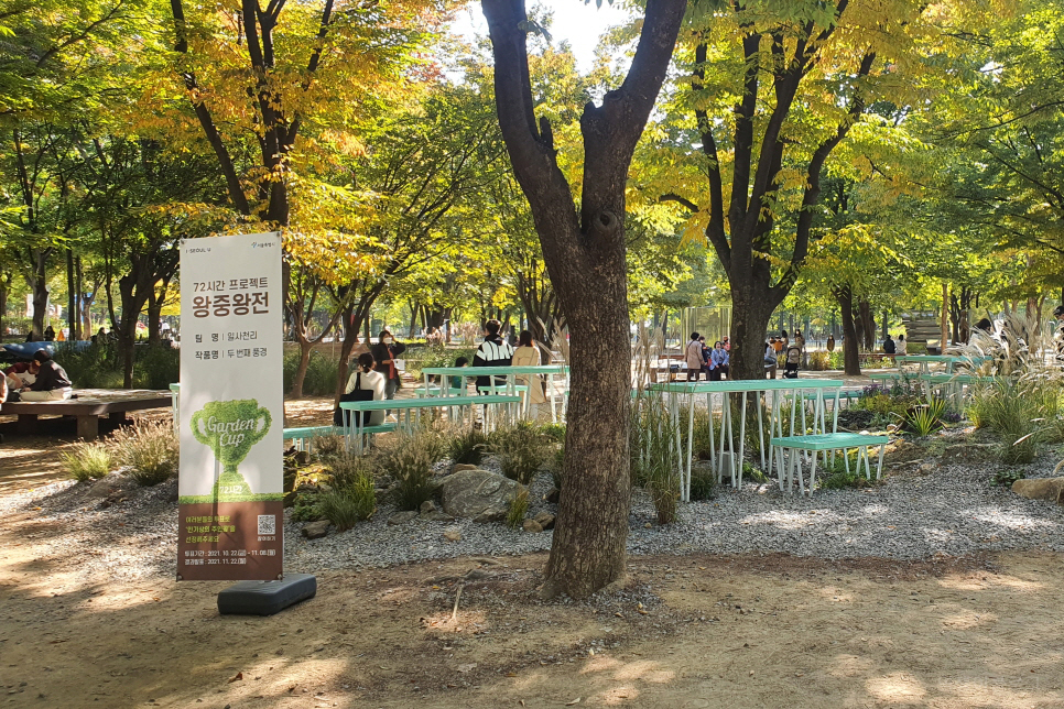 72시간 프로젝트 뚝섬 서울숲에서 볼 수 있는 다양한 작품들