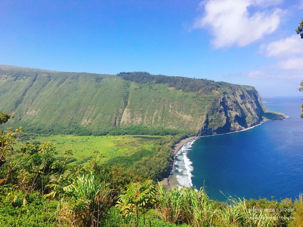 하와이 섬 빅아일랜드 여행 힐로 가볼만한곳 리스트
