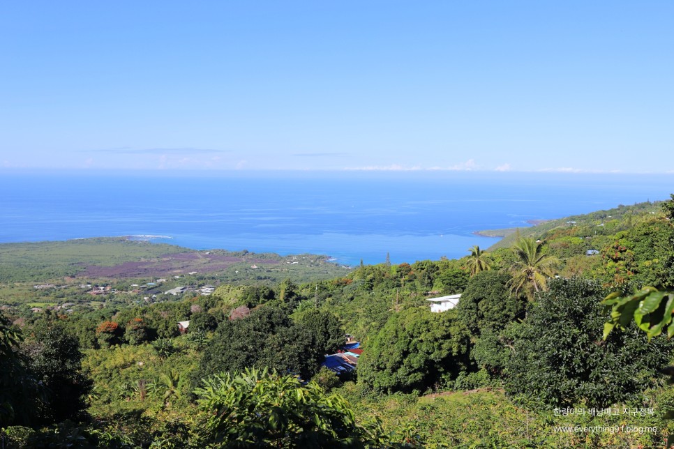 하와이 섬 빅아일랜드 여행 힐로 가볼만한곳 리스트