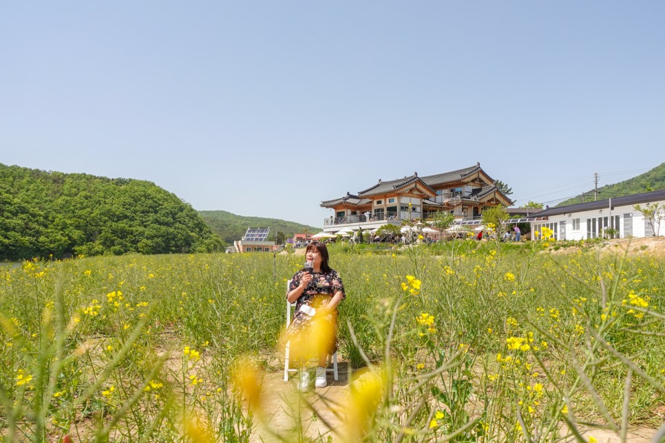 경주 카페 바실라 제철 꽃이 가득한 뷰좋은 카페