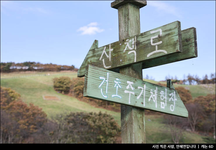 아이와 가볼만한곳 강원도 대관령 양떼목장 날씨는 겨울