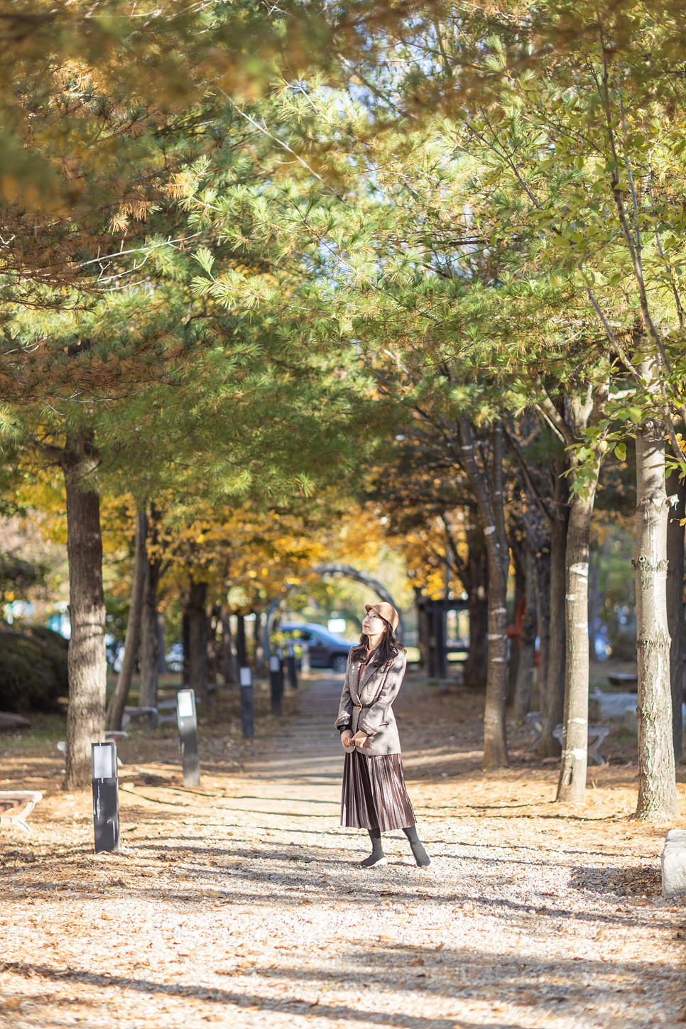 파주 헤이리마을 가을 나들이 서울근교 당일치기 여행