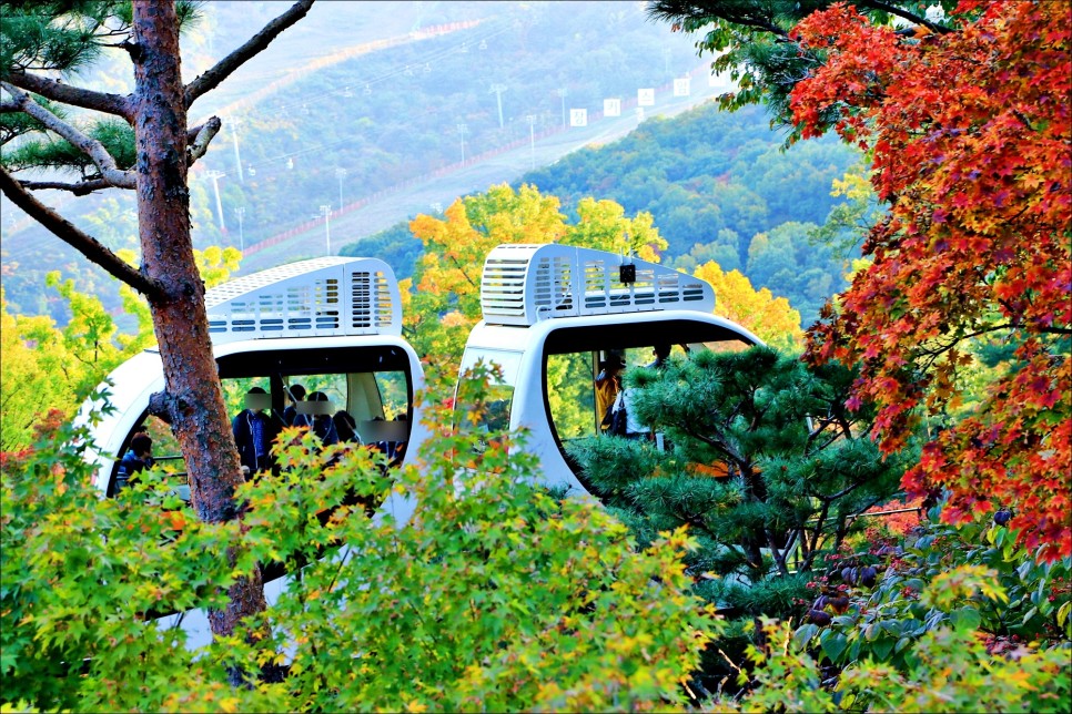 서울 근교 나들이 단풍 명소 곤지암 화담숲 예약 필수!