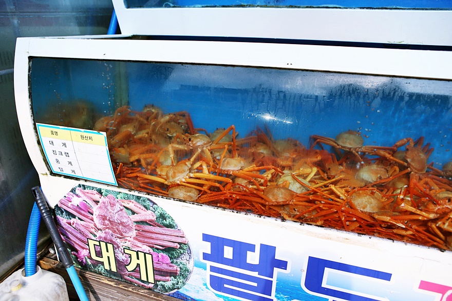 빠져들었던 속초 홍게 맛집 무한리필!!