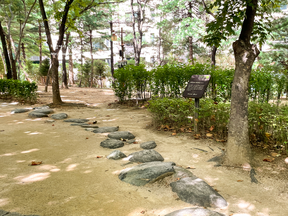 서울 공원 추천 도산공원 숲길 휴식