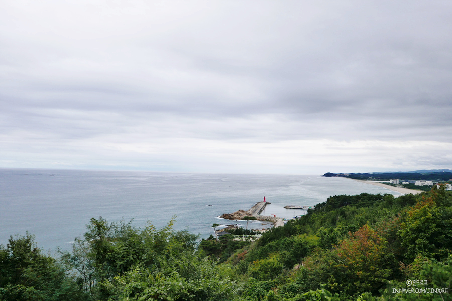 속초 당일치기 코스, 바다 전망 낙산사 대포항 속초먹거리 대포대게회직판장 까지!