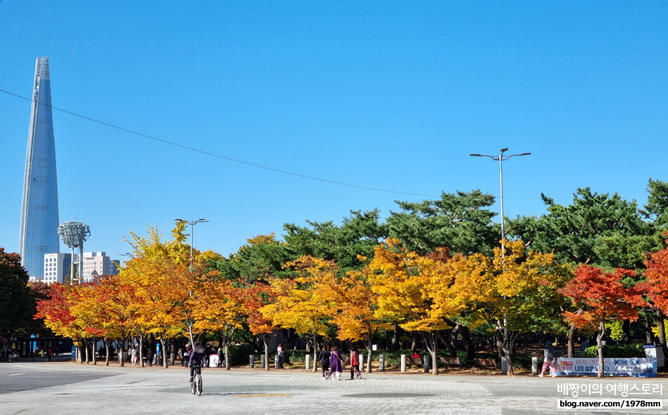 올림픽공원 단풍구경! 88잔디마당 오징어게임 월드스타 영희 인형