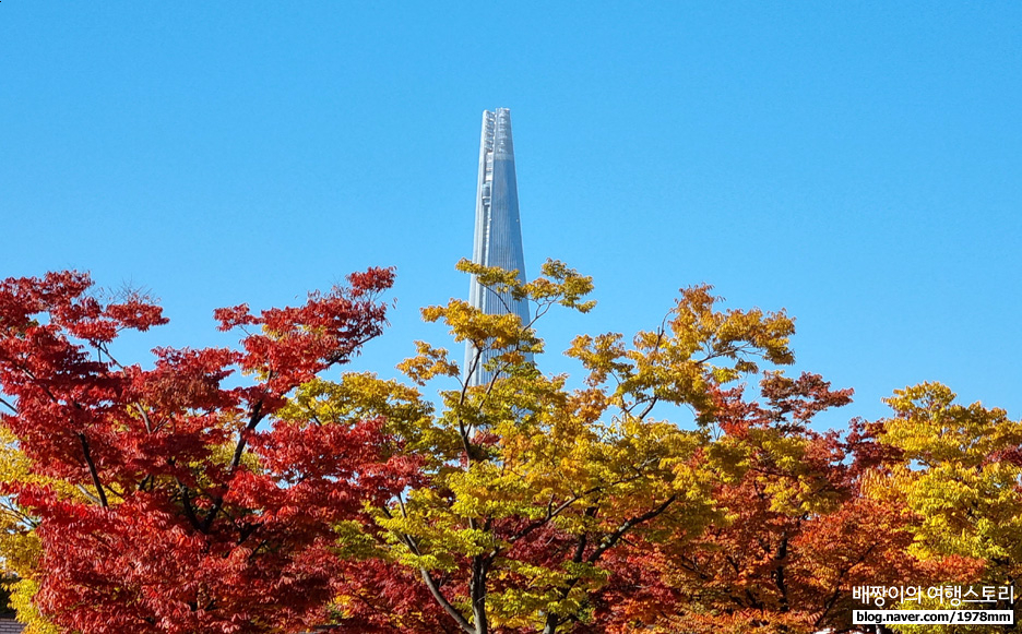 올림픽공원 단풍구경! 88잔디마당 오징어게임 월드스타 영희 인형