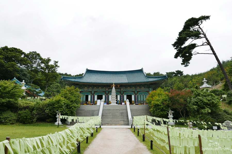 속초 당일치기 코스, 바다 전망 낙산사 대포항 속초먹거리 대포대게회직판장 까지!