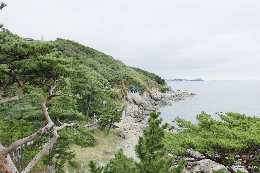 속초 당일치기 코스, 바다 전망 낙산사 대포항 속초먹거리 대포대게회직판장 까지!