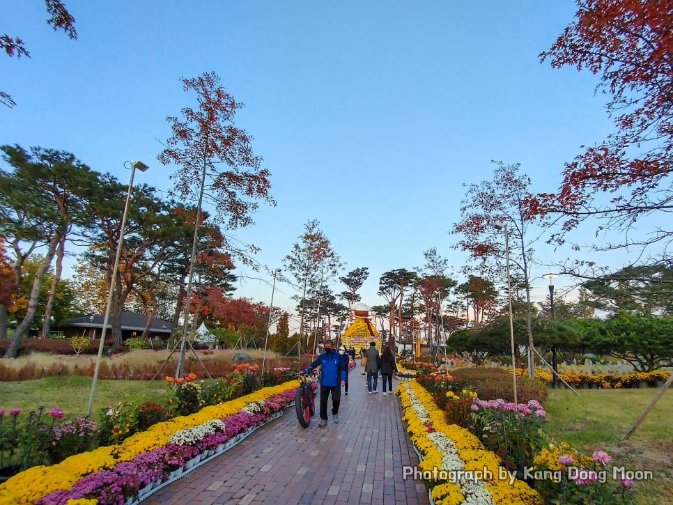 대전 가볼만한곳 가을 여행지 데이트 볼거리 다양한 유림공원 꽃구경 나들이