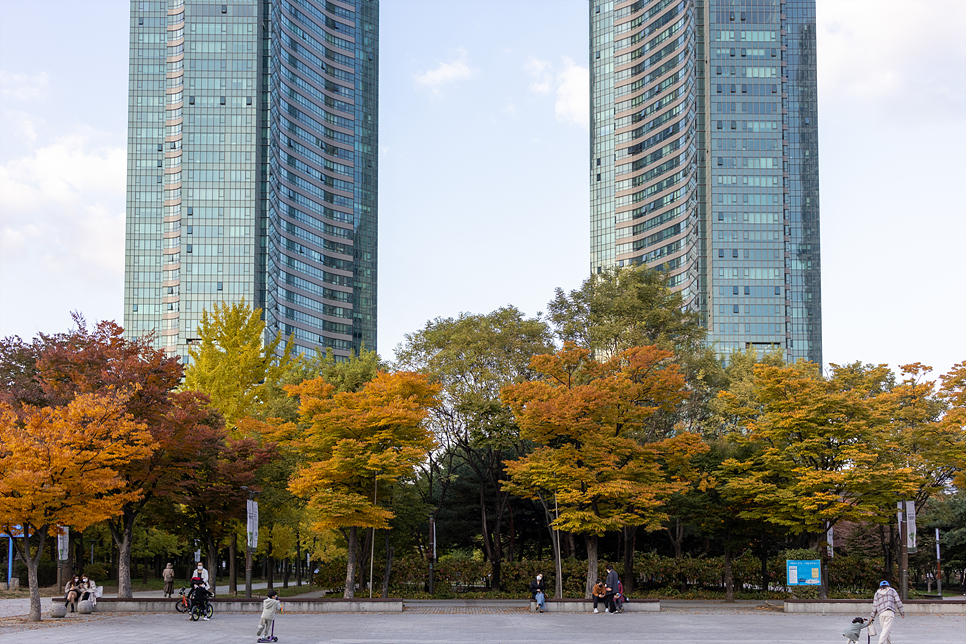 서울숲 단풍과 은행나무길 위치, 서울 단풍명소 풍경