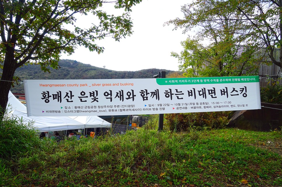 경남 가볼만한곳 합천 황매산 억새 등산코스 & 오토캠핑장